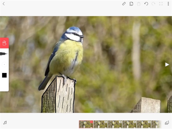 FlipaClip动画制作教程 FlipaClip动画制作教程